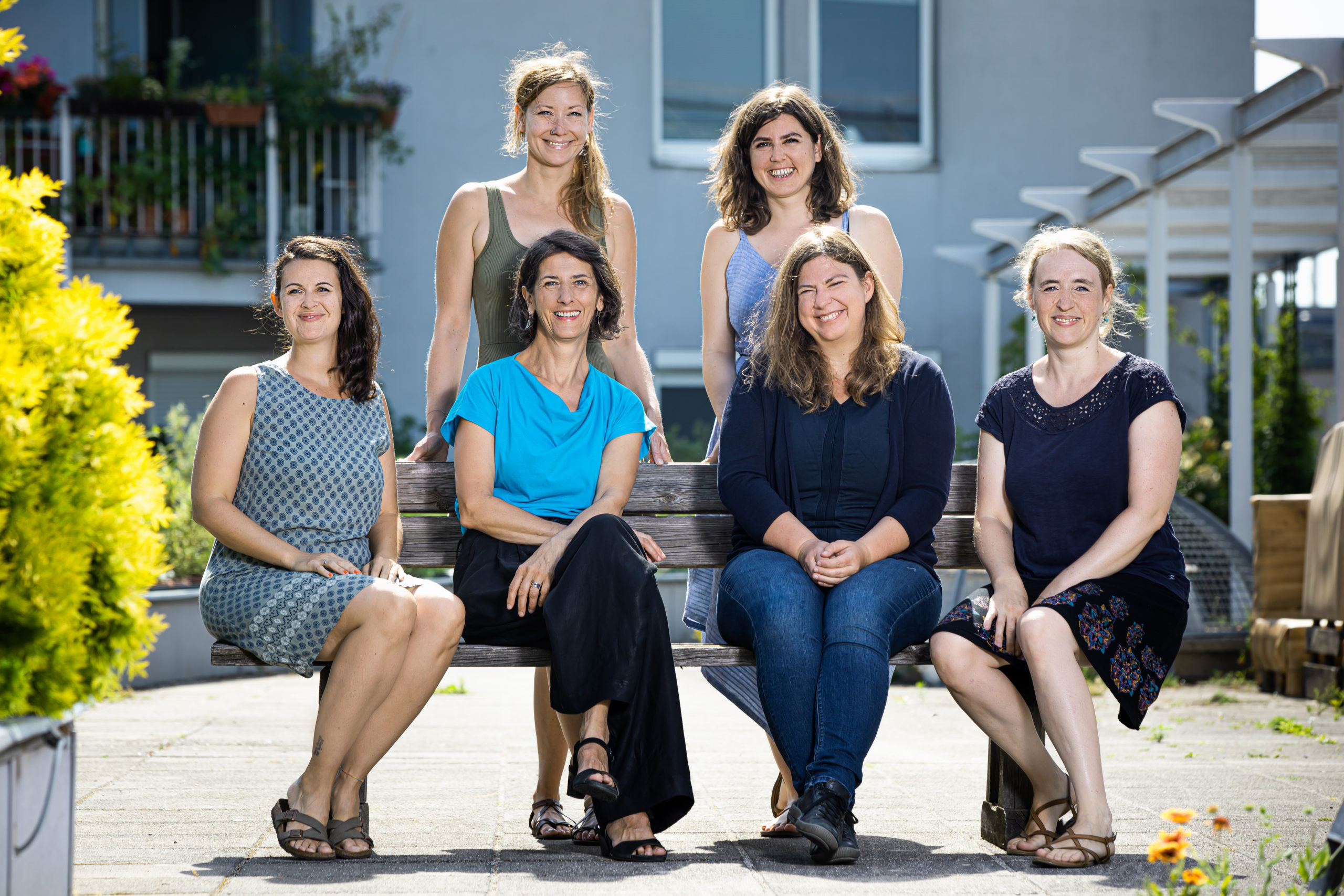 Team Management und Organisation